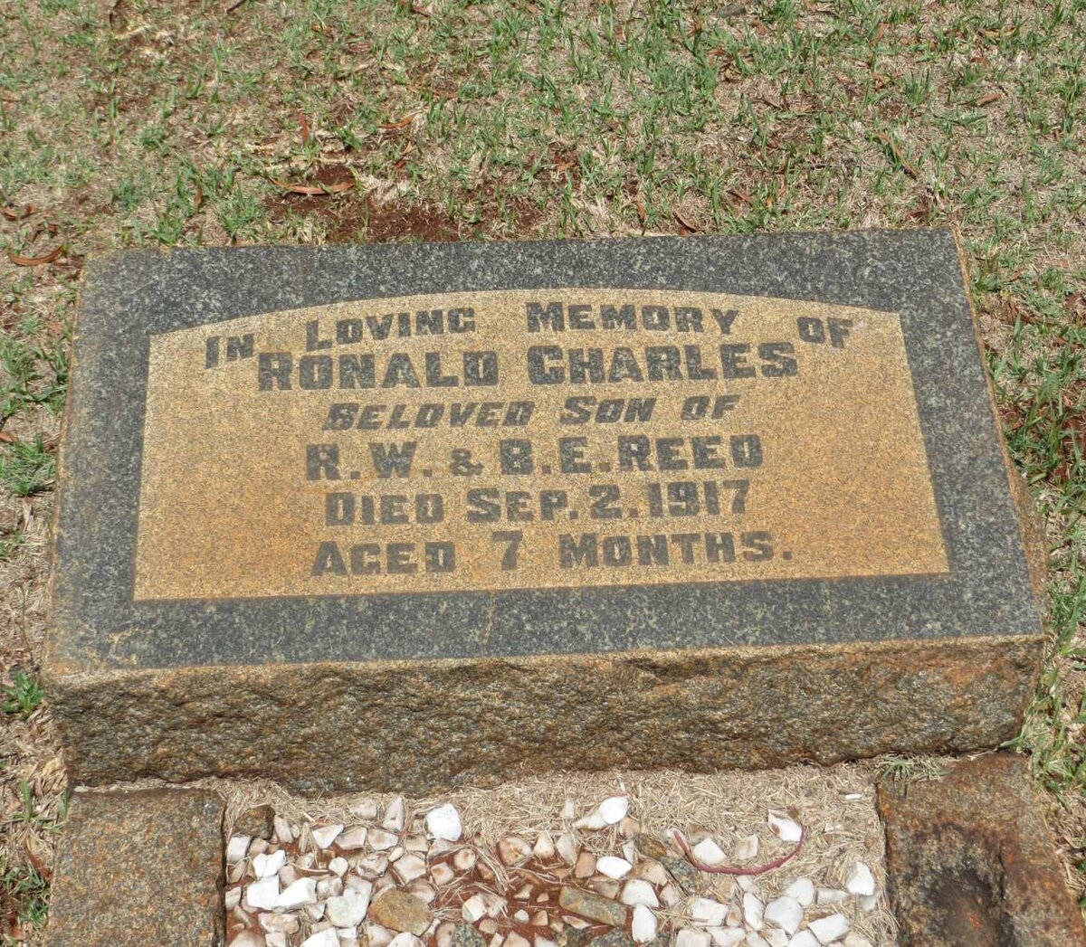 REED Ronald Charles -1917