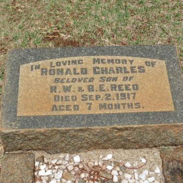 REED Ronald Charles -1917