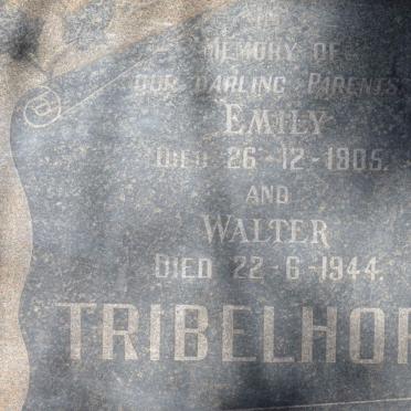 TRIBELHORN Walter -1944 &amp; Emily -1905