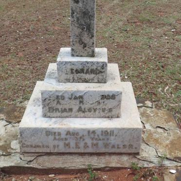 WALSH Leonard -1906 :: WALSH Brian Aloysuis -1911