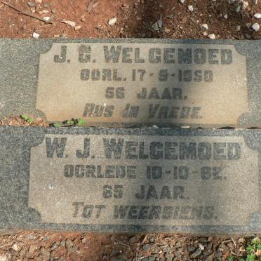 WELGEMOED J.G. -1950 :: WELGEMOED W.J. -1962