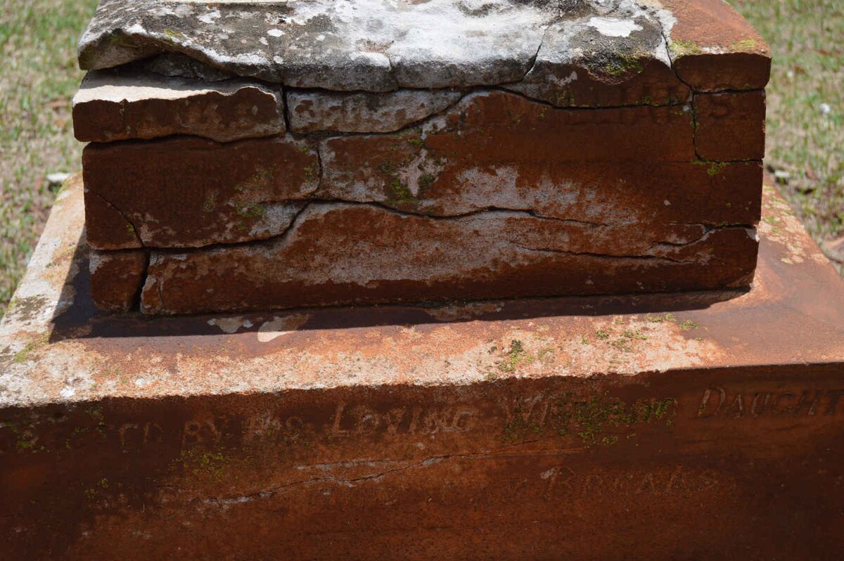 WILLIAMS James Leonard 1876-1907