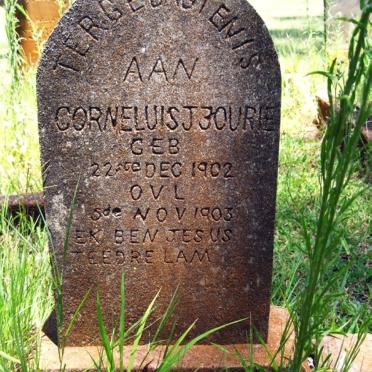 FOURIE Corneluis J. 1902-1903