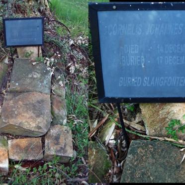 PRETORIUS Cornelis Johannes 1919-1919