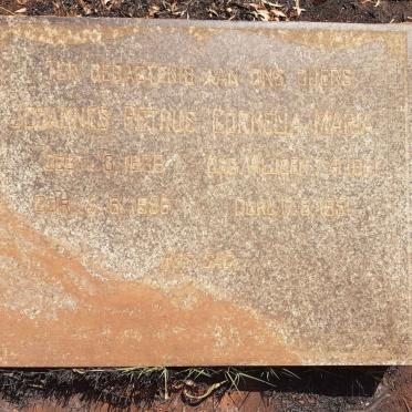 BRUWER Johannes Petrus 1866-1956 &amp; Cornelia Maria VILJOEN 1861-1951