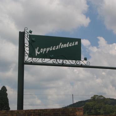 1. Oorsig - plaas Koppiesfontein, ingang