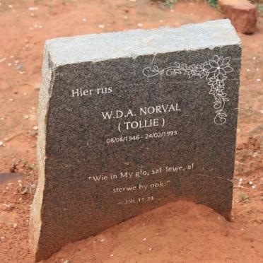 N - Vanne :: Surnames - N