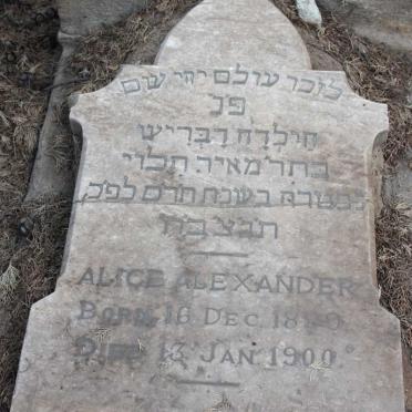 ALEXANDER Alice 1899-1900