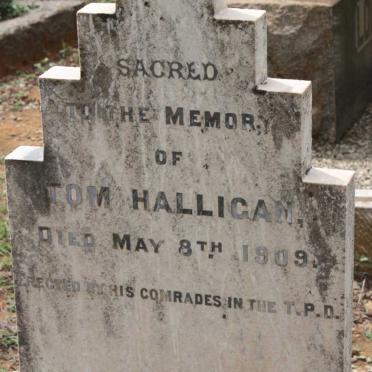 HALLIGAN Tom -1909
