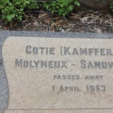 MOLYNEUX-SANDWITH Cotie nee KAMFFER -1953