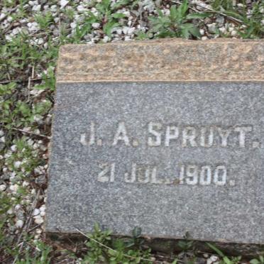 SPRUYT J.A. 1900