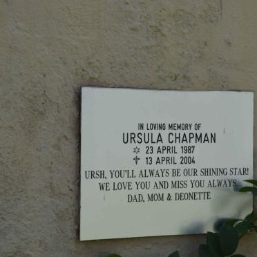 CHAPMAN Ursula 1987-2004