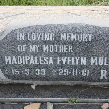MOLOI Madipalesa Evelyn 1939-1961