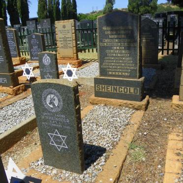 SHEINGOLD Maurice -1946