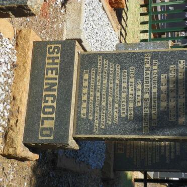 SHEINGOLD Maurice -1946