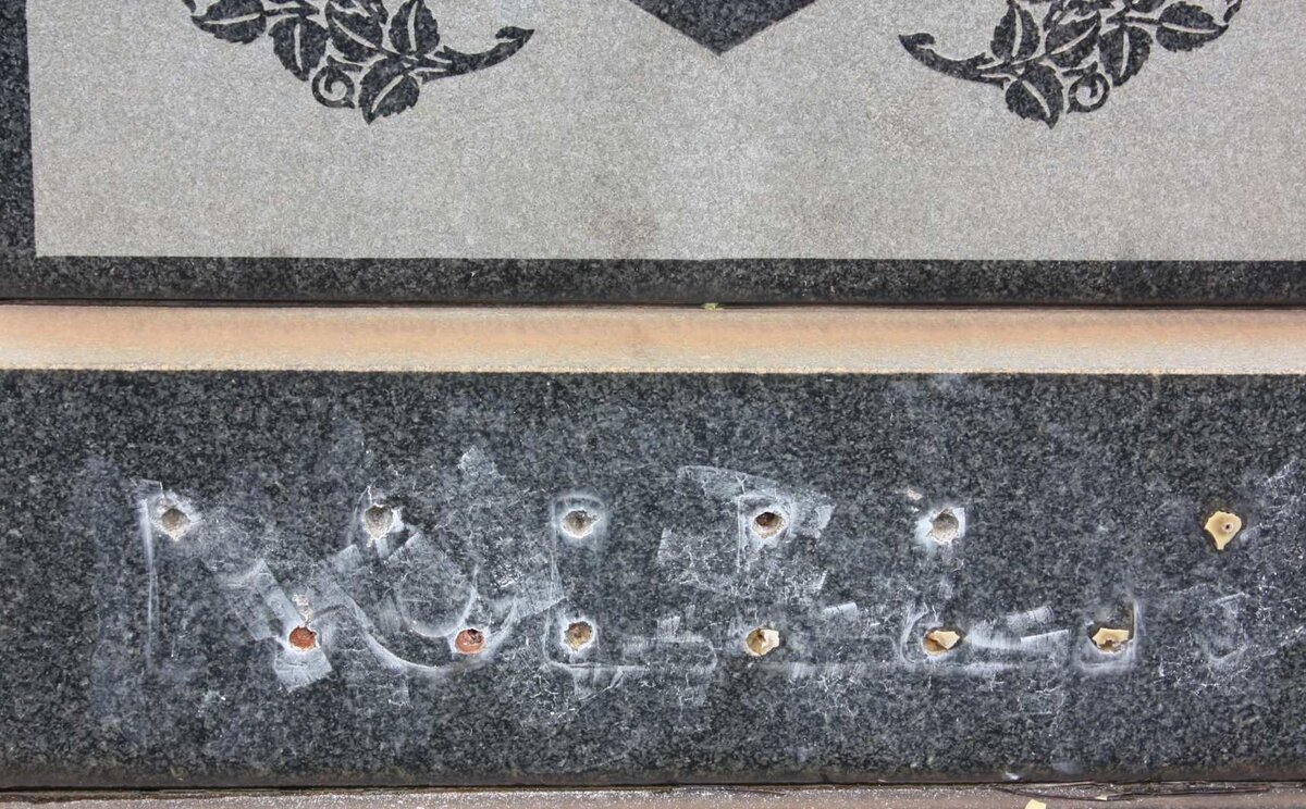 ? Veronica Ann 1963-1983