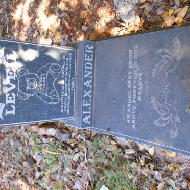 ALEXANDER Leveil 2005-2007