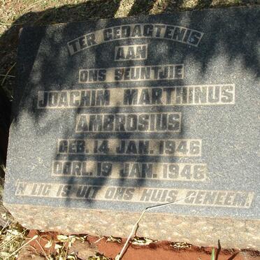 AMBROSIUS Joachim Marthinus 1946-1946