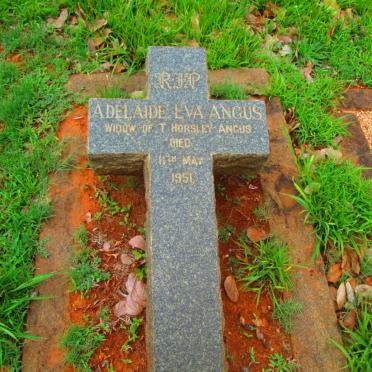 ANGUS Adelaide Eva -1951