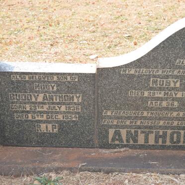 ANTHONY Nuby -1942 :: ANTHONY Buddy 1936-1954