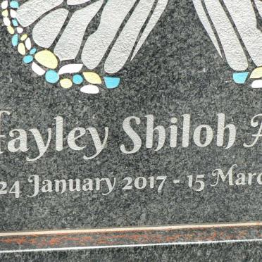ASTREE Hayley Shiloh 2017-2017