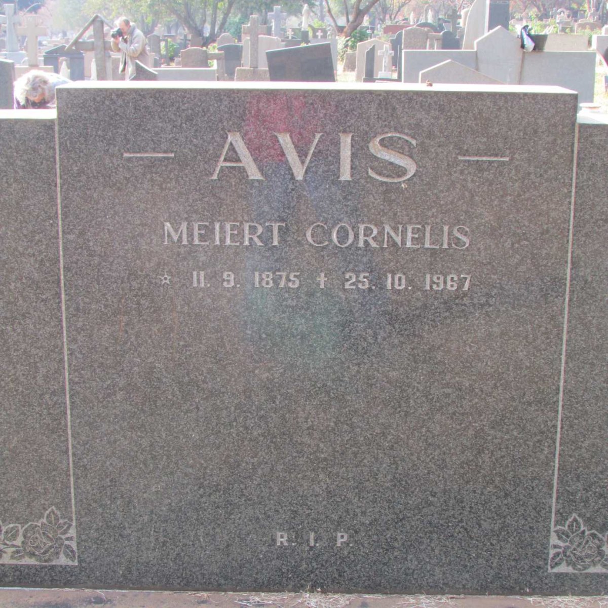 AVIS Meiert Cornelis 1875-1967