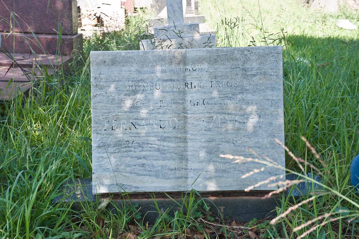 AZEVEDO Fernando 1914-1981