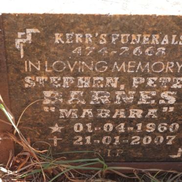 BARNES Stephen Peter 1960-2007