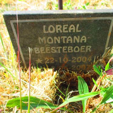 BEESTEBOER Loreal Montana 2004-2007