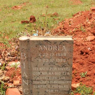 Bi - Surnames starting with the letters Bi