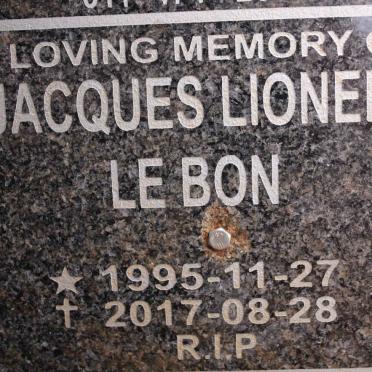 BON Jacques Lionel, le 1995-2017
