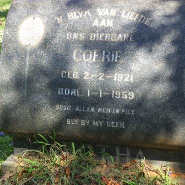 BOTHA Coerie 1921-1959