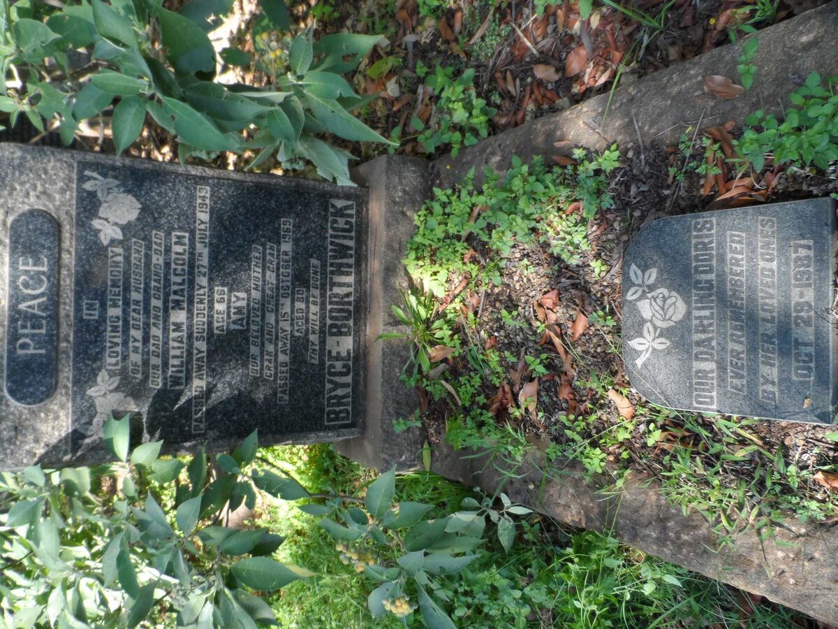 BORTHWICK William Malcolm, BRYCE -1943 &amp; Amy -1969 :: ? Doris -1987