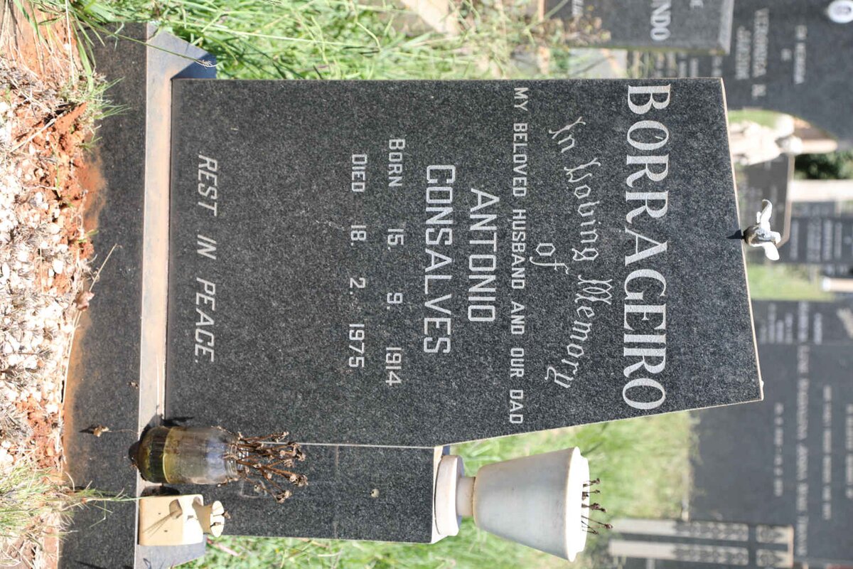 BORRAGEIRO Antonio Gonsalves 1914-1975