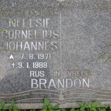 BRANDON Neelsie Cornelius Johannes 1971-1988