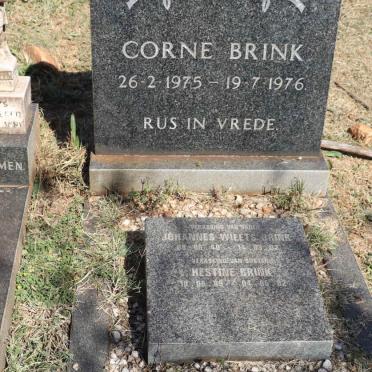 BRINK Johannes Wieets 1940-2002 :: BRINK Hestine 1969-2002 :: BRINK Corne 1975-1976