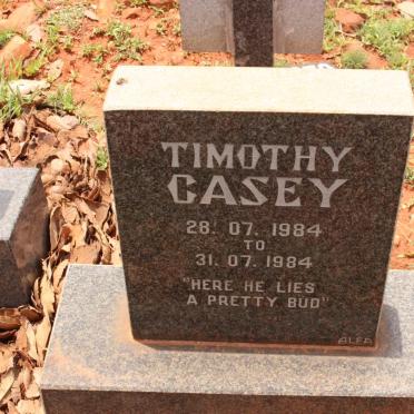 CASEY Timothy 1984-1984