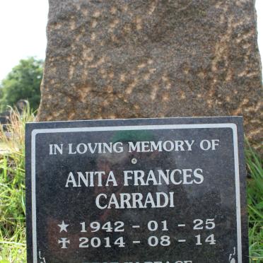 CARRADI Anita Frances 1942-2014