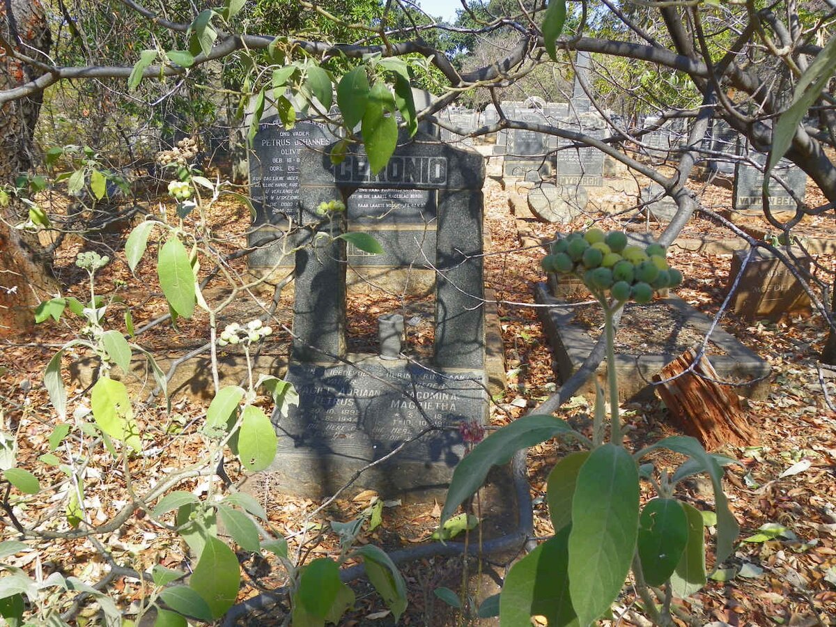 CERONIO Magiel Adriaan Petrus 1892-1944 &amp; Jacomina Magrietha 1894-1980