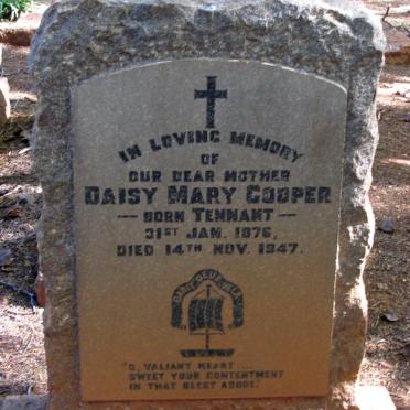 COOPER Daisy Mary nee TENNANT 1876-1947