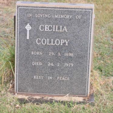 COLLOPY Cecilia 1898-1979