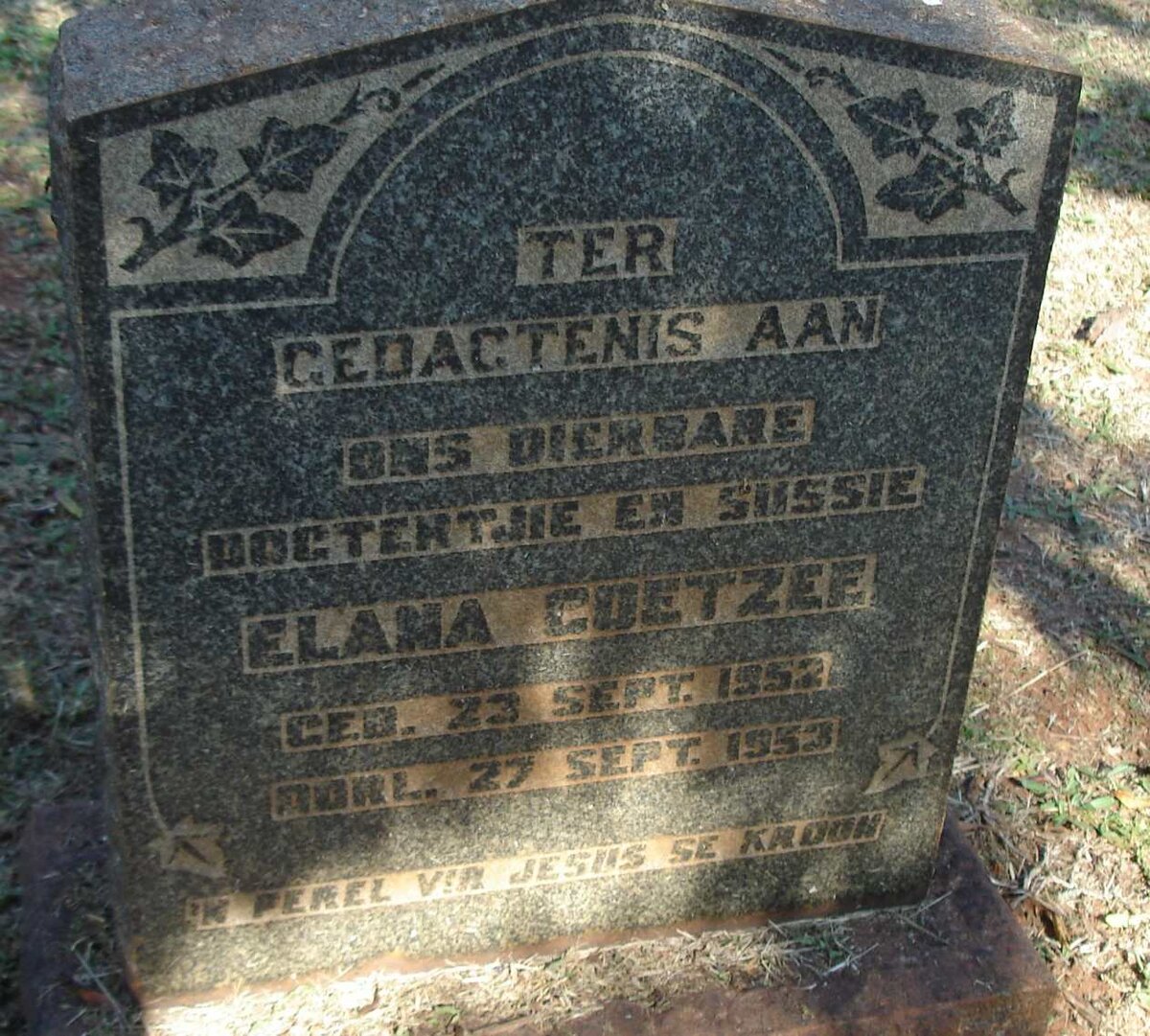 COETZEE Elana 1952-1953