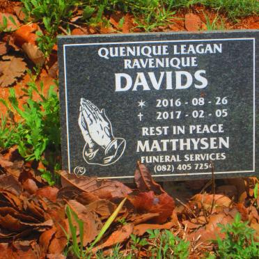 DAVIDS Quenique Leagan Ravenique 2016-2017