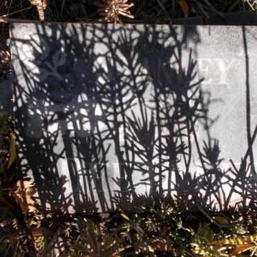 DEETLEFS Stanley 1961-1961