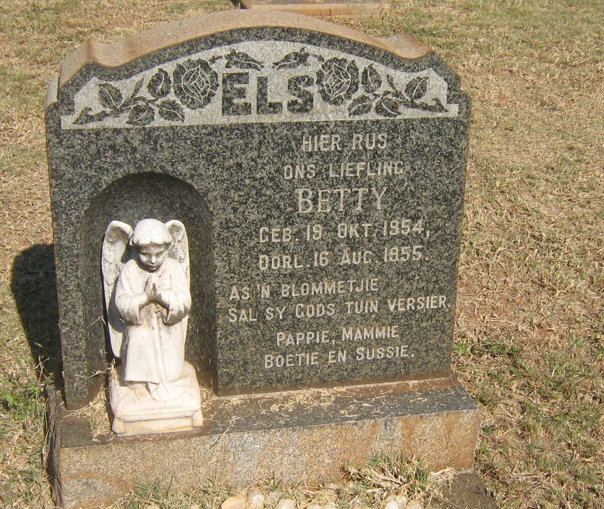 ELS Betty 1954-1955