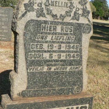 ERASMUS Nellie 1948-1949