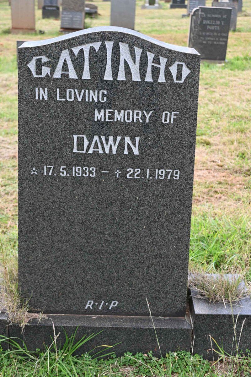 GATINHO Dawn 1933-1979