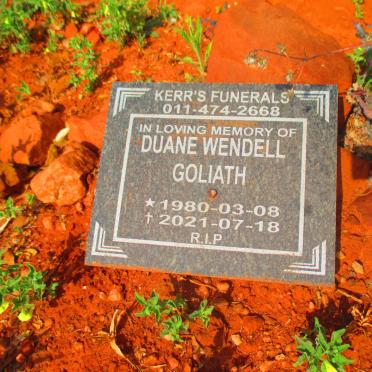 GOLIATH Duane Wendell 1980-2021