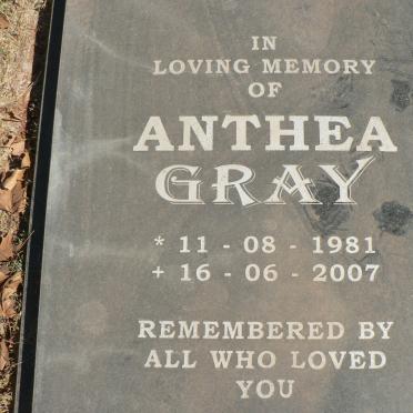 GRAY Anthea 1981-2007