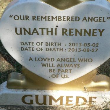 GUMEDE Unathi Renney 2013-2013